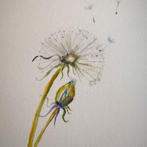 dandelion card 1
