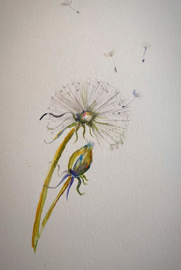 dandelion card 1