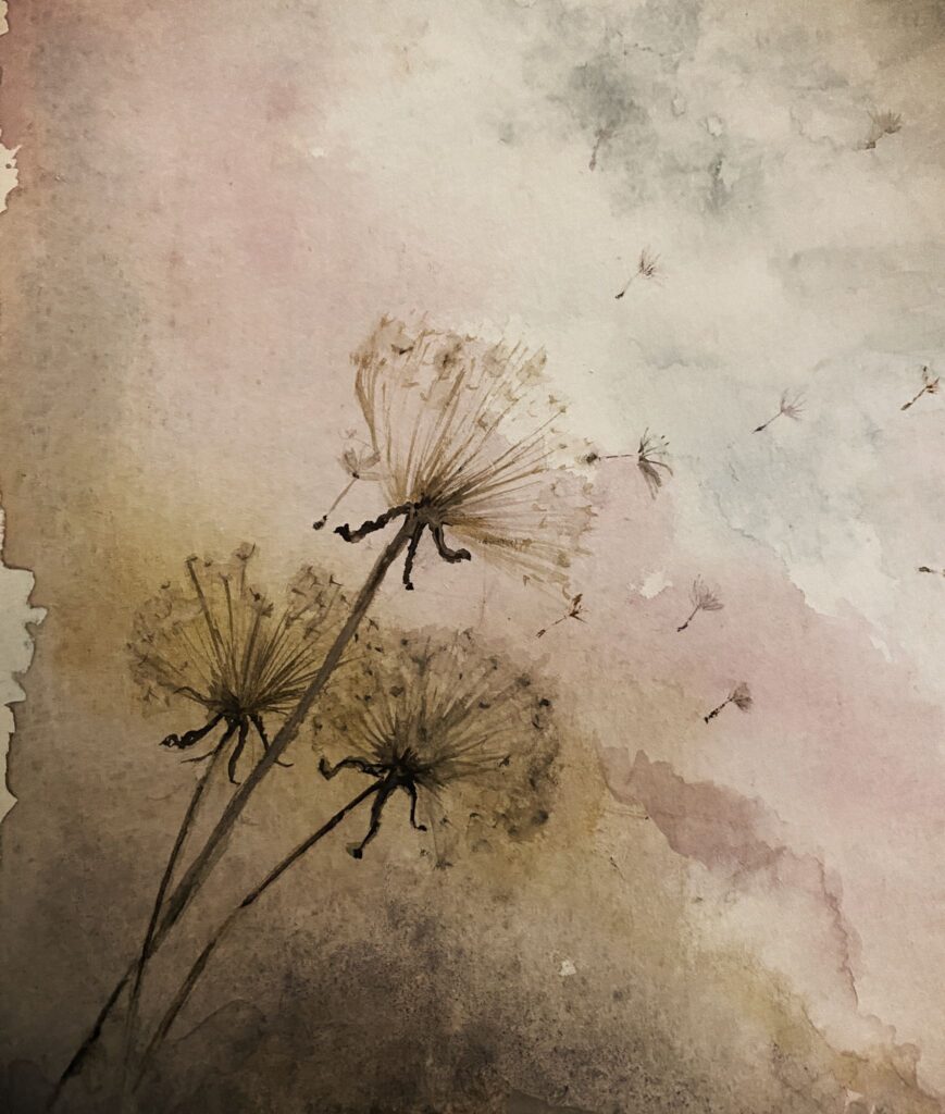 dandelion card 3